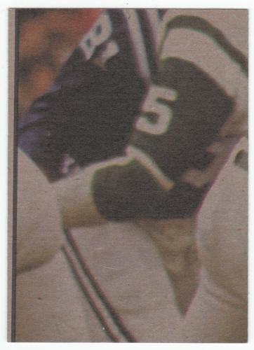 1973 Topps Pittsburgh Steelers Team Checklist back