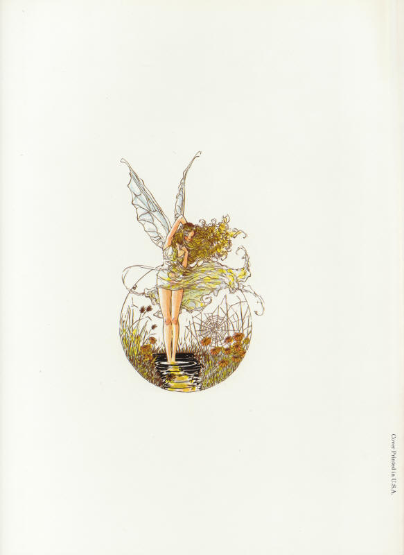 Ariel The Book of Fantasy Volume 2 back cover