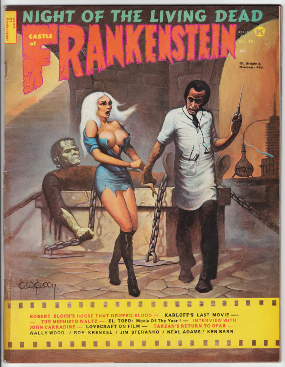 Castle Of Frankenstein #18 front cover