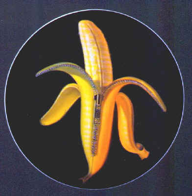 The Dandy Warhols Promo Sticker front