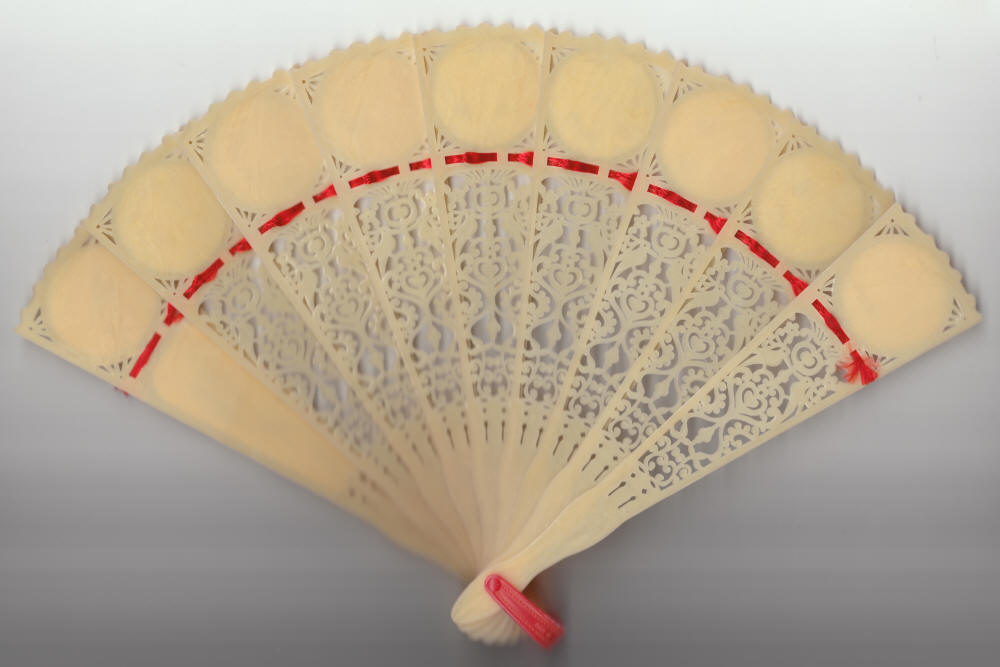 Grand Canyon Arizona Fan back