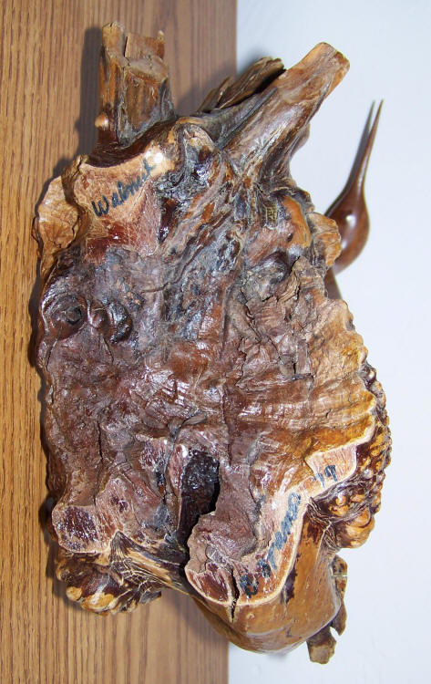 Bruce Stamp Carved Heron bottom