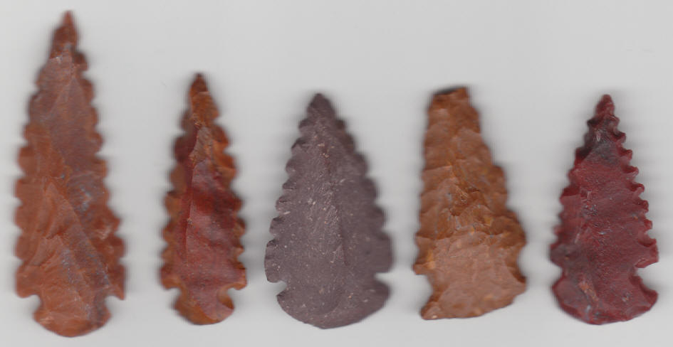 Native American Indian Serrated Arrowheads