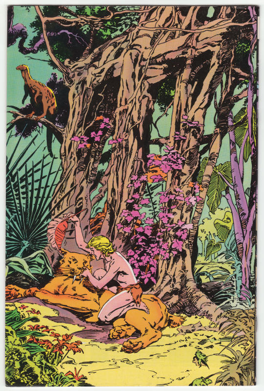 Ka-Zar The Savage #20 back cover