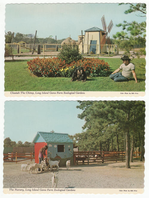 Long Island Game Farm Post Cards