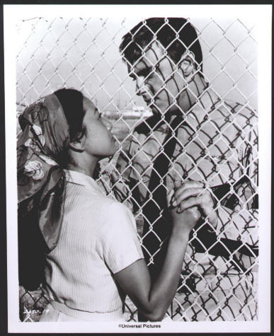 Midway Press Kit Christina Kokubo Edward Albert Still