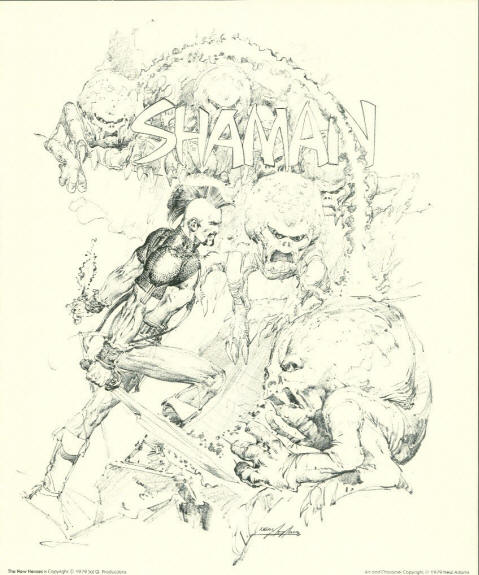 Shaman Plate The New Heroes Portfolio