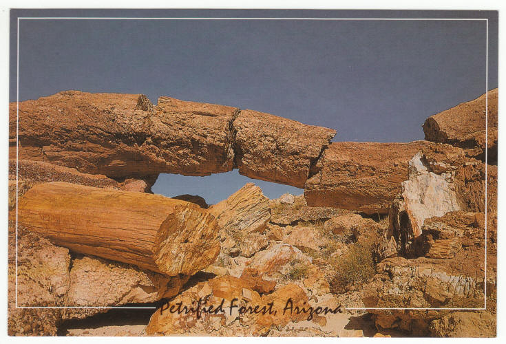 Petrified Forest Arizona Post Card
