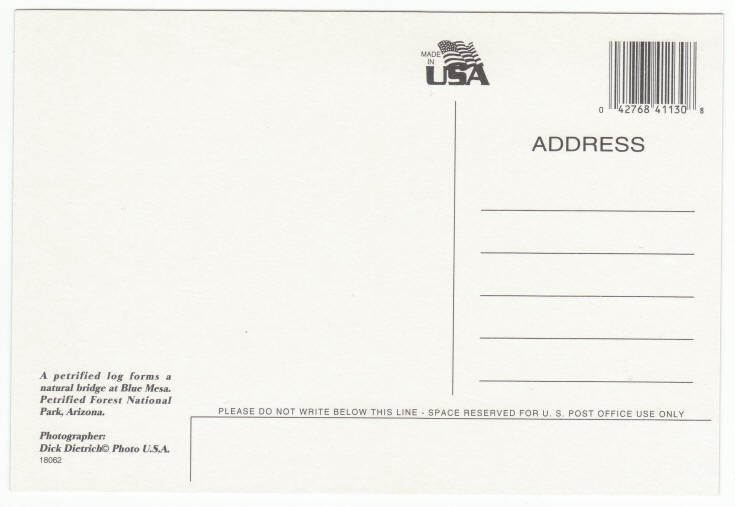 Petrified Forest Arizona Post Card