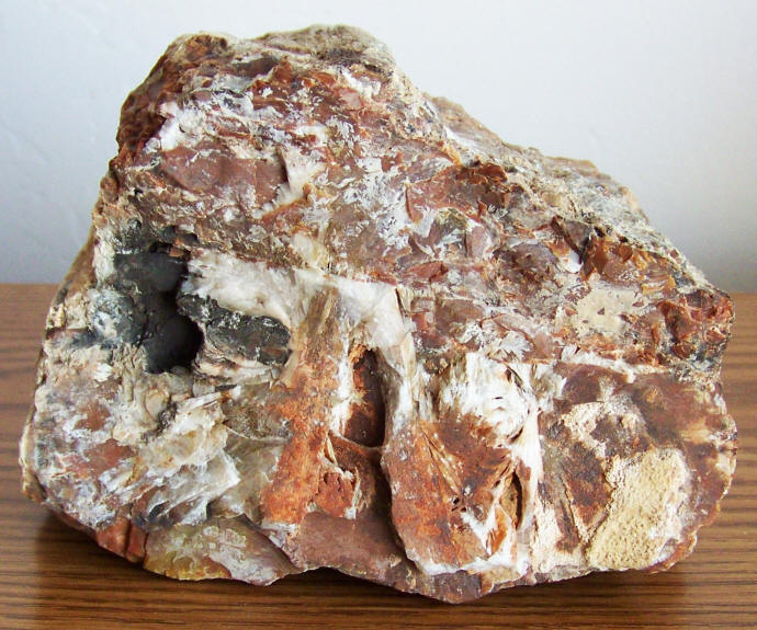 Arizona Rainbow Petrified Wood