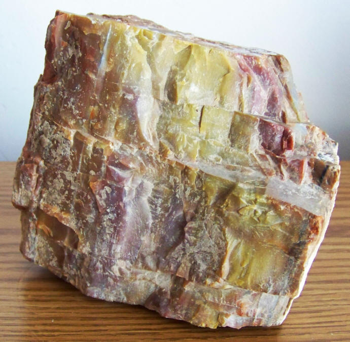 Arizona Rainbow Petrified Wood