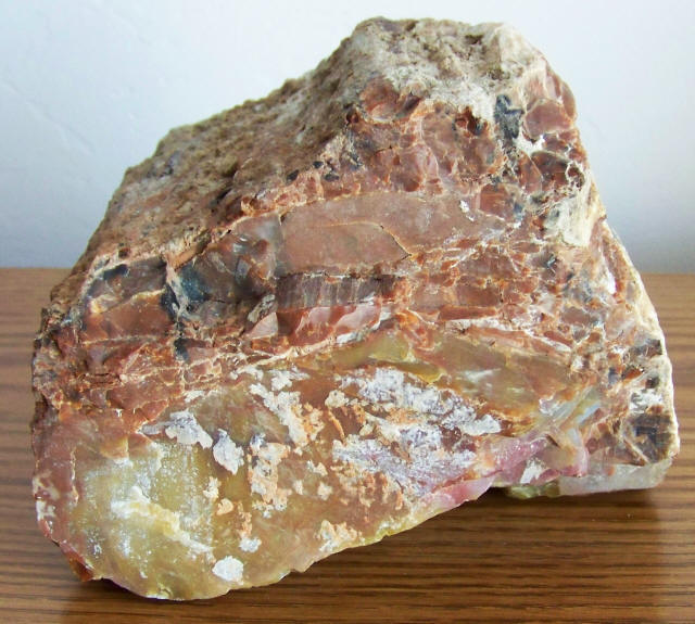 Arizona Rainbow Petrified Wood