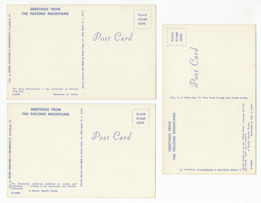 Pocono Mountains Pennsylvania Post Cards 1960s