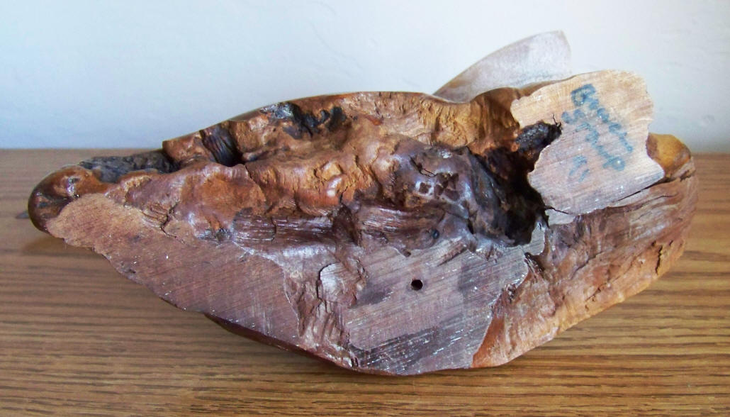 Bruce Stamp Carved Roadrunner bottom