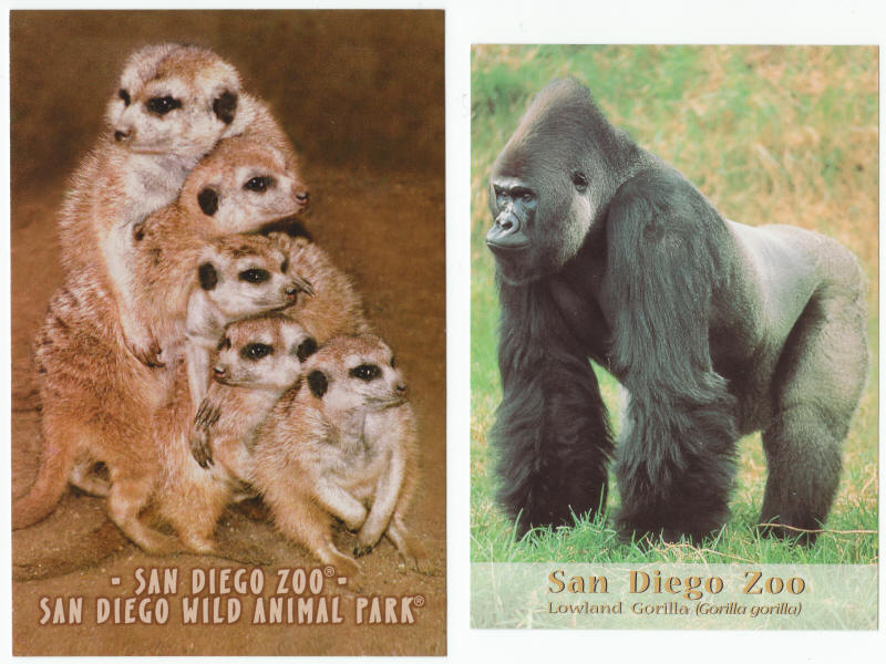 San Diego Zoo Post Cards