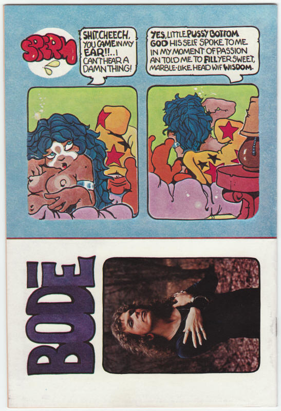 Schizophrenia Vaughn Bode Cheech Wizard back cover