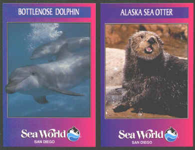 Sea World San Diego 1993 Collectors Card Set