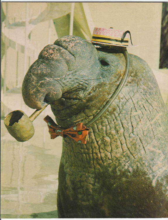 Sea World Album 1968 Tour Guide Booklet back cover