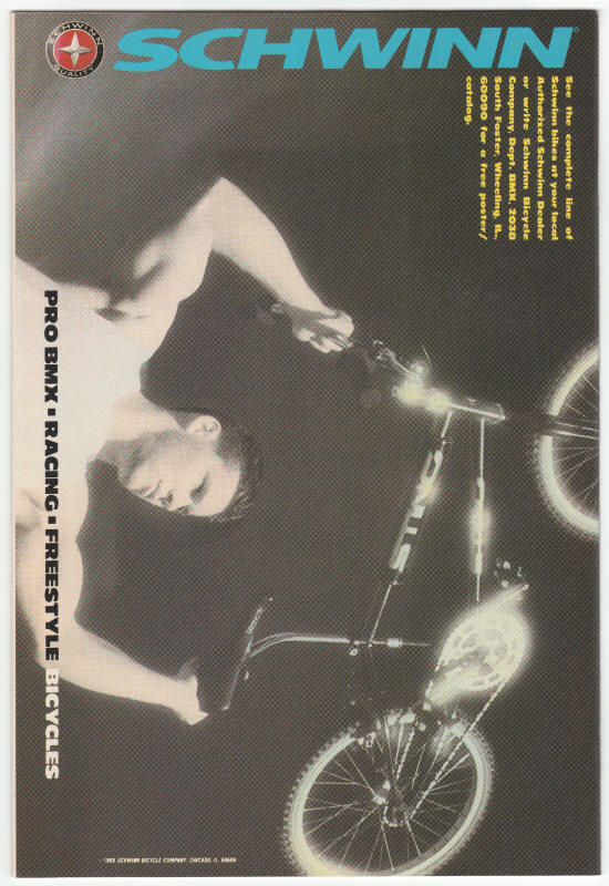 Sensational She-Hulk #2 back cover