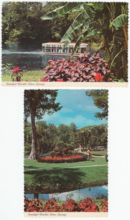 Floridas Silver Springs Post Cards