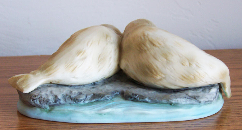 Snow Babies Canadian Harp Seals back