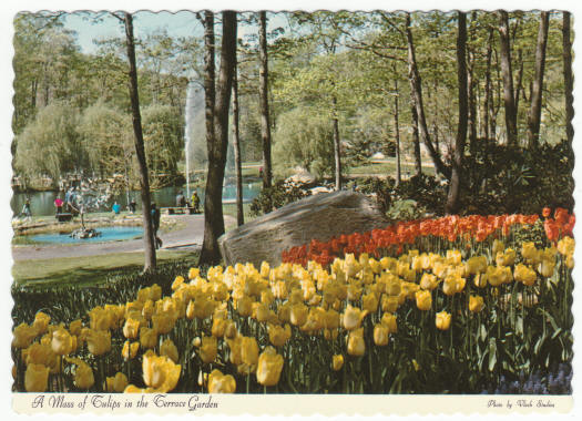 Sterling Forest New York 1971 Post Cards