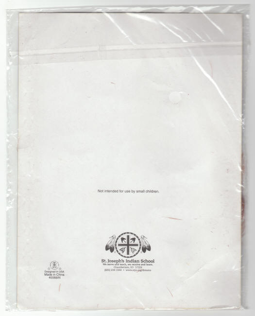 St Josephs Indian School Dreamcatcher back