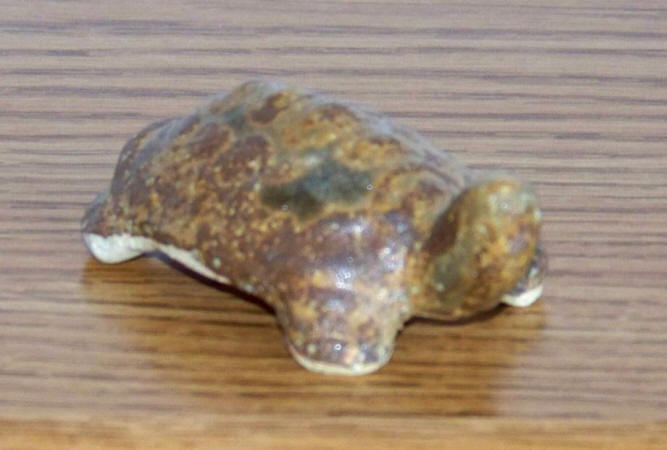 Mid 1970s Pottery Turtle