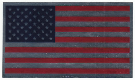 United States Metallic Flag Sticker
