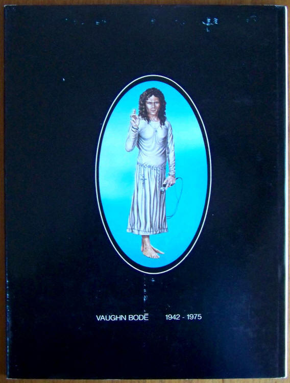 Vaughn Bodes Cheech Wizard back cover